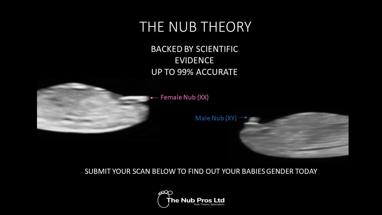 The nub theory the nub pros ltd